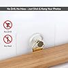 Zulaxy Photo Frame Hooks for Wall Without Drilling, 10 Pack Self Adhesive Hooks for Wall Heavy Duty Strong Nail Free for Hanging Photo Frame (Hanging Hook, Transparent) Stainless Steel